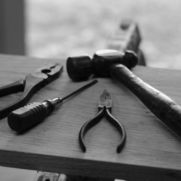 hunter-haley-s8OO2-t-HmQ-unsplash